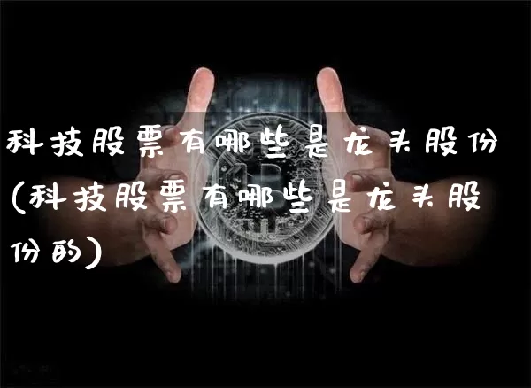 科技股票有哪些是龙头股份(科技股票有哪些是龙头股份的)_https://www.cangshenghg.com_科创板_第1张