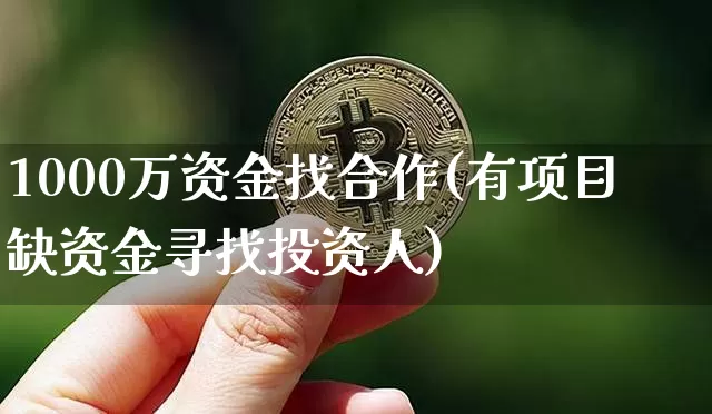 1000万资金找合作(有项目缺资金寻找投资人)_https://www.cangshenghg.com_科创板_第1张