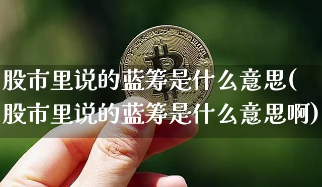股市里说的蓝筹是什么意思(股市里说的蓝筹是什么意思啊)_https://www.cangshenghg.com_北交所_第1张
