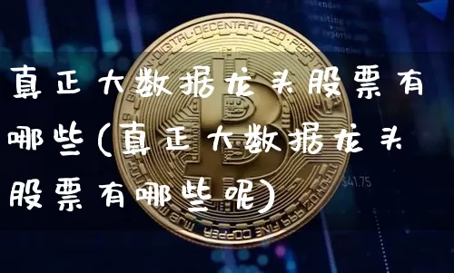 真正大数据龙头股票有哪些(真正大数据龙头股票有哪些呢)_https://www.cangshenghg.com_科创板_第1张