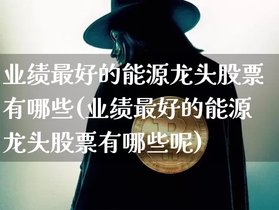 业绩最好的能源龙头股票有哪些(业绩最好的能源龙头股票有哪些呢)_https://www.cangshenghg.com_A股_第1张