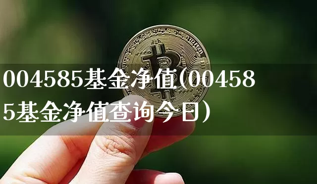 004585基金净值(004585基金净值查询今日)_https://www.cangshenghg.com_北交所_第1张