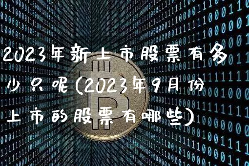 2023年新上市股票有多少只呢(2023年9月份上市的股票有哪些)_https://www.cangshenghg.com_科创板_第1张