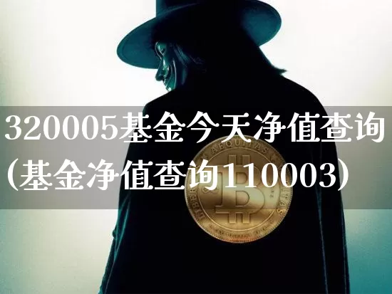 320005基金今天净值查询(基金净值查询110003)_https://www.cangshenghg.com_科创板_第1张