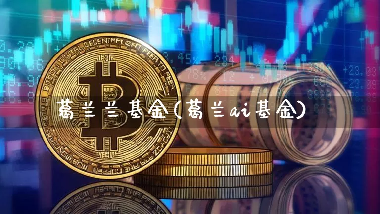 葛兰兰基金(葛兰ai基金)_https://www.cangshenghg.com_科创板_第1张