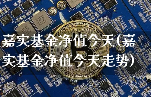 嘉实基金净值今天(嘉实基金净值今天走势)_https://www.cangshenghg.com_北交所_第1张