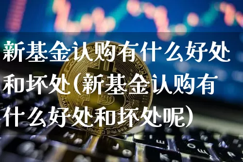 新基金认购有什么好处和坏处(新基金认购有什么好处和坏处呢)_https://www.cangshenghg.com_A股_第1张
