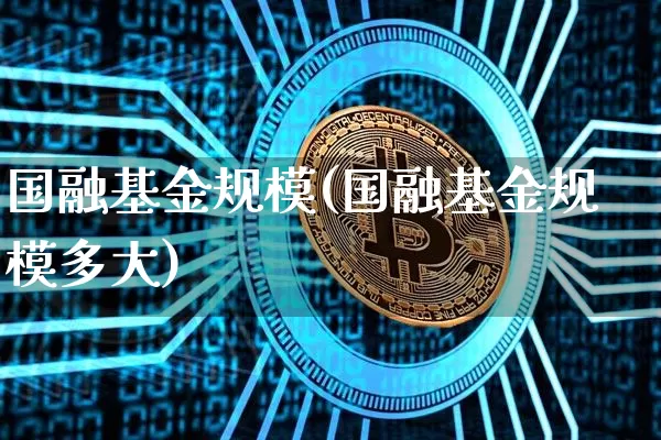 国融基金规模(国融基金规模多大)_https://www.cangshenghg.com_科创板_第1张