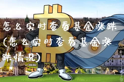 怎么实时查看基金涨跌(怎么实时查看基金涨跌情况)_https://www.cangshenghg.com_科创板_第1张
