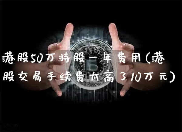 港股50万持股一年费用(港股交易手续费太高了10万元)_https://www.cangshenghg.com_北交所_第1张