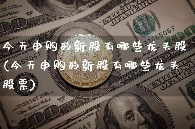 今天申购的新股有哪些龙头股(今天申购的新股有哪些龙头股票)_https://www.cangshenghg.com_北交所_第1张