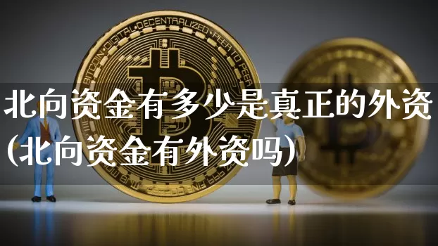 北向资金有多少是真正的外资(北向资金有外资吗)_https://www.cangshenghg.com_北交所_第1张