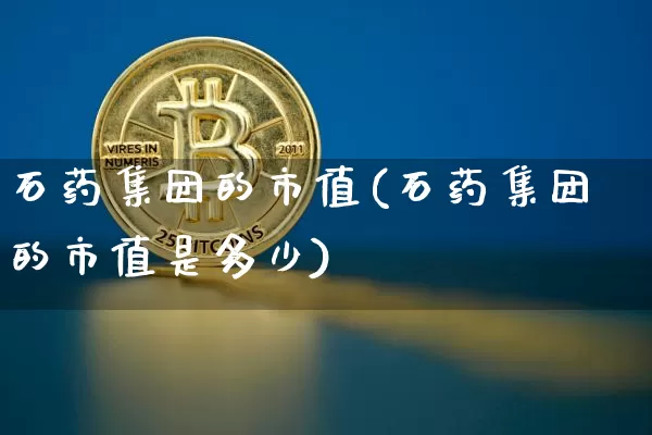 石药集团的市值(石药集团的市值是多少)_https://www.cangshenghg.com_科创板_第1张