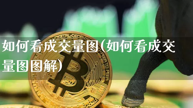 如何看成交量图(如何看成交量图图解)_https://www.cangshenghg.com_创业板_第1张