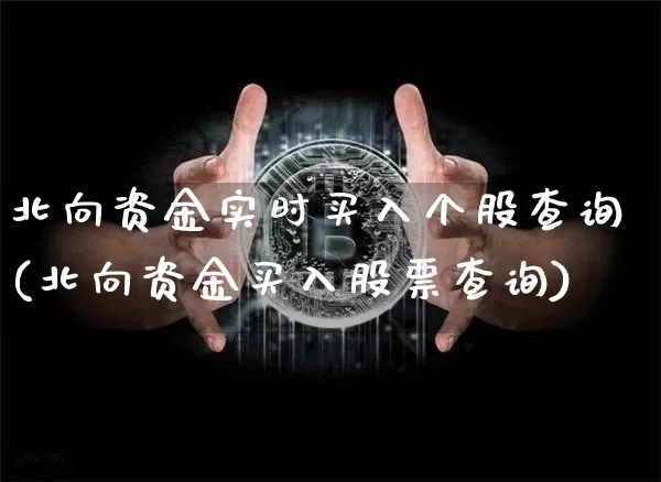 北向资金实时买入个股查询(北向资金买入股票查询)_https://www.cangshenghg.com_北交所_第1张