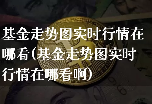 基金走势图实时行情在哪看(基金走势图实时行情在哪看啊)_https://www.cangshenghg.com_北交所_第1张