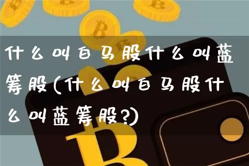 什么叫白马股什么叫蓝筹股(什么叫白马股什么叫蓝筹股?)_https://www.cangshenghg.com_A股_第1张