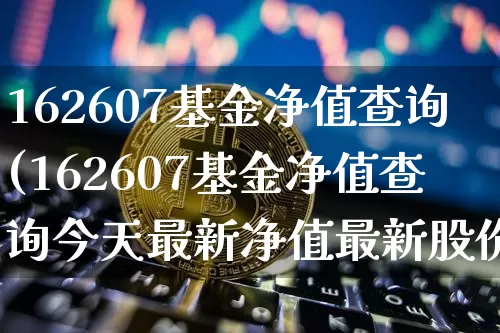 162607基金净值查询(162607基金净值查询今天最新净值最新股价)_https://www.cangshenghg.com_科创板_第1张