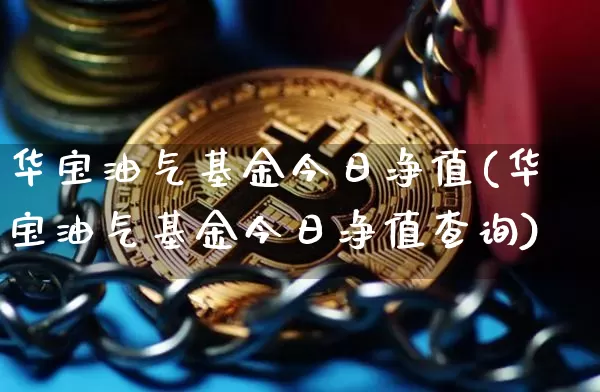 华宝油气基金今日净值(华宝油气基金今日净值查询)_https://www.cangshenghg.com_科创板_第1张