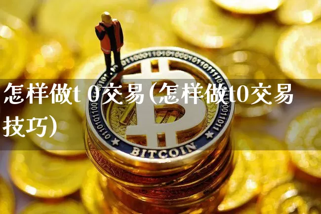 怎样做t 0交易(怎样做t0交易技巧)_https://www.cangshenghg.com_创业板_第1张