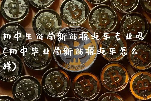 初中生能学新能源汽车专业吗(初中毕业学新能源汽车怎么样)_https://www.cangshenghg.com_创业板_第1张