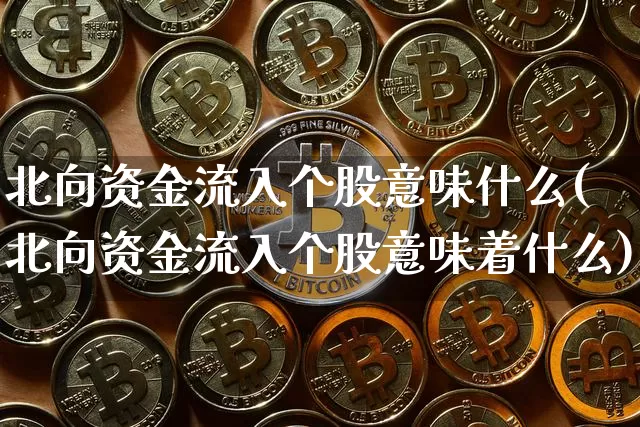 北向资金流入个股意味什么(北向资金流入个股意味着什么)_https://www.cangshenghg.com_北交所_第1张