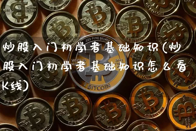 炒股入门初学者基础知识(炒股入门初学者基础知识怎么看K线)_https://www.cangshenghg.com_创业板_第1张