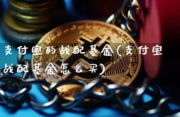 支付宝的战配基金(支付宝战配基金怎么买)_https://www.cangshenghg.com_财经新闻_第1张