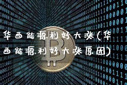 华西能源利好大涨(华西能源利好大涨原因)_https://www.cangshenghg.com_创业板_第1张