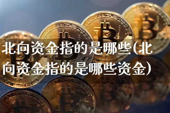 北向资金指的是哪些(北向资金指的是哪些资金)_https://www.cangshenghg.com_财经新闻_第1张