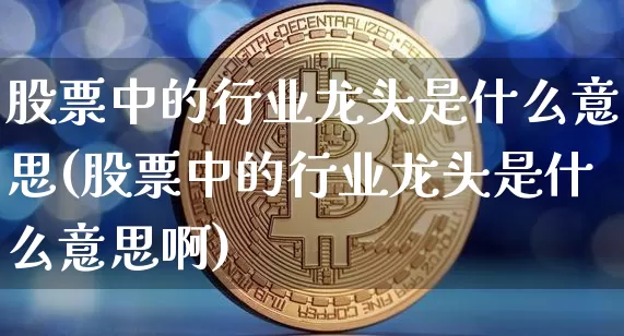 股票中的行业龙头是什么意思(股票中的行业龙头是什么意思啊)_https://www.cangshenghg.com_A股_第1张