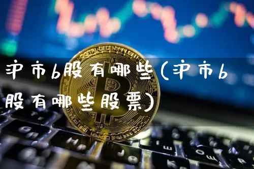 沪市b股有哪些(沪市b股有哪些股票)_https://www.cangshenghg.com_北交所_第1张