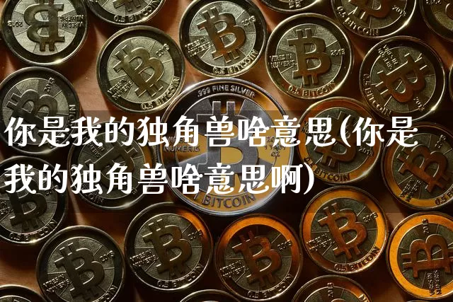 你是我的独角兽啥意思(你是我的独角兽啥意思啊)_https://www.cangshenghg.com_财经新闻_第1张
