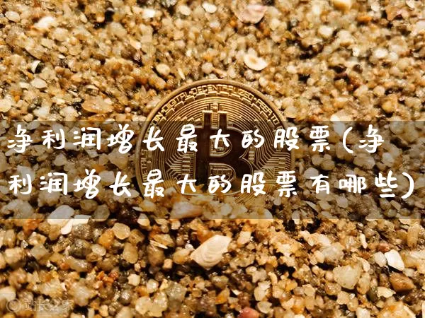 净利润增长最大的股票(净利润增长最大的股票有哪些)_https://www.cangshenghg.com_创业板_第1张