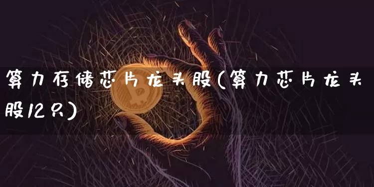 算力存储芯片龙头股(算力芯片龙头股12只)_https://www.cangshenghg.com_北交所_第1张