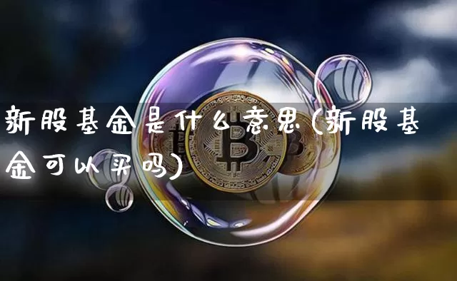 新股基金是什么意思(新股基金可以买吗)_https://www.cangshenghg.com_创业板_第1张