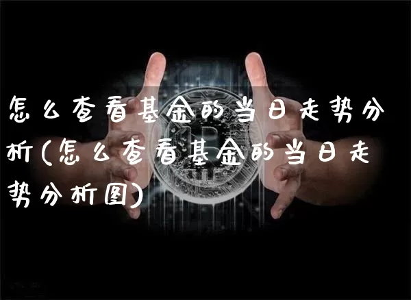 怎么查看基金的当日走势分析(怎么查看基金的当日走势分析图)_https://www.cangshenghg.com_北交所_第1张