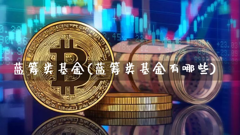 蓝筹类基金(蓝筹类基金有哪些)_https://www.cangshenghg.com_科创板_第1张