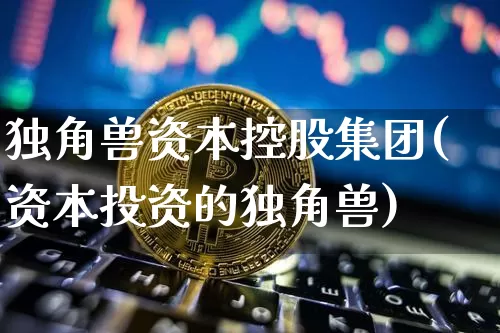 独角兽资本控股集团(资本投资的独角兽)_https://www.cangshenghg.com_北交所_第1张