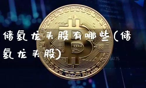 储氢龙头股有哪些(储氢龙头股)_https://www.cangshenghg.com_科创板_第1张