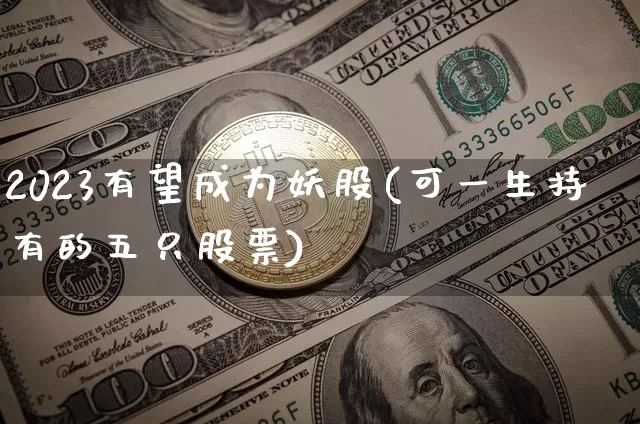 2023有望成为妖股(可一生持有的五只股票)_https://www.cangshenghg.com_创业板_第1张