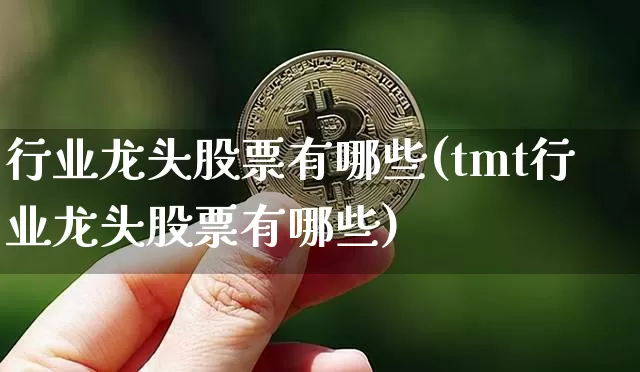 行业龙头股票有哪些(tmt行业龙头股票有哪些)_https://www.cangshenghg.com_财经新闻_第1张