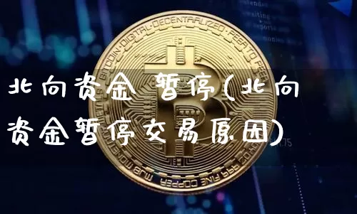 北向资金 暂停(北向资金暂停交易原因)_https://www.cangshenghg.com_科创板_第1张