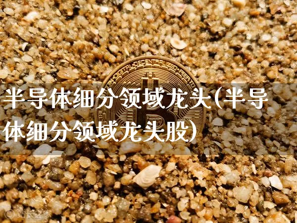半导体细分领域龙头(半导体细分领域龙头股)_https://www.cangshenghg.com_北交所_第1张