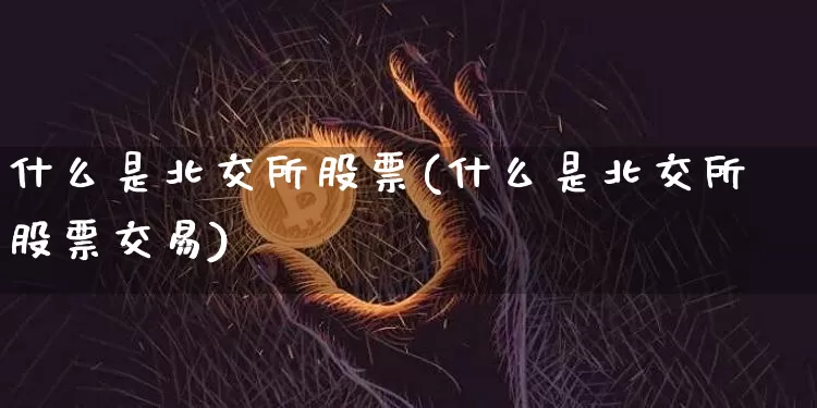 什么是北交所股票(什么是北交所股票交易)_https://www.cangshenghg.com_北交所_第1张