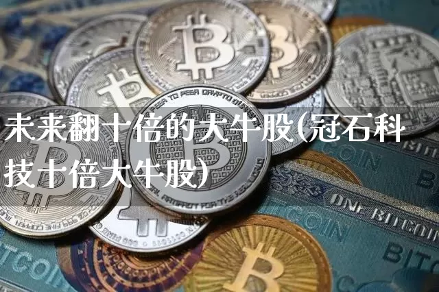 未来翻十倍的大牛股(冠石科技十倍大牛股)_https://www.cangshenghg.com_北交所_第1张