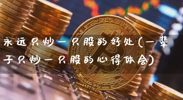 永远只炒一只股的好处(一辈子只炒一只股的心得体会)_https://www.cangshenghg.com_北交所_第1张