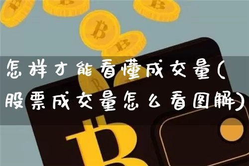 怎样才能看懂成交量(股票成交量怎么看图解)_https://www.cangshenghg.com_北交所_第1张
