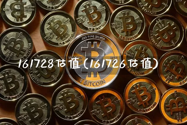 161728估值(161726估值)_https://www.cangshenghg.com_创业板_第1张