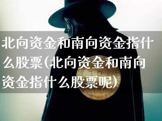 北向资金和南向资金指什么股票(北向资金和南向资金指什么股票呢)_https://www.cangshenghg.com_北交所_第1张